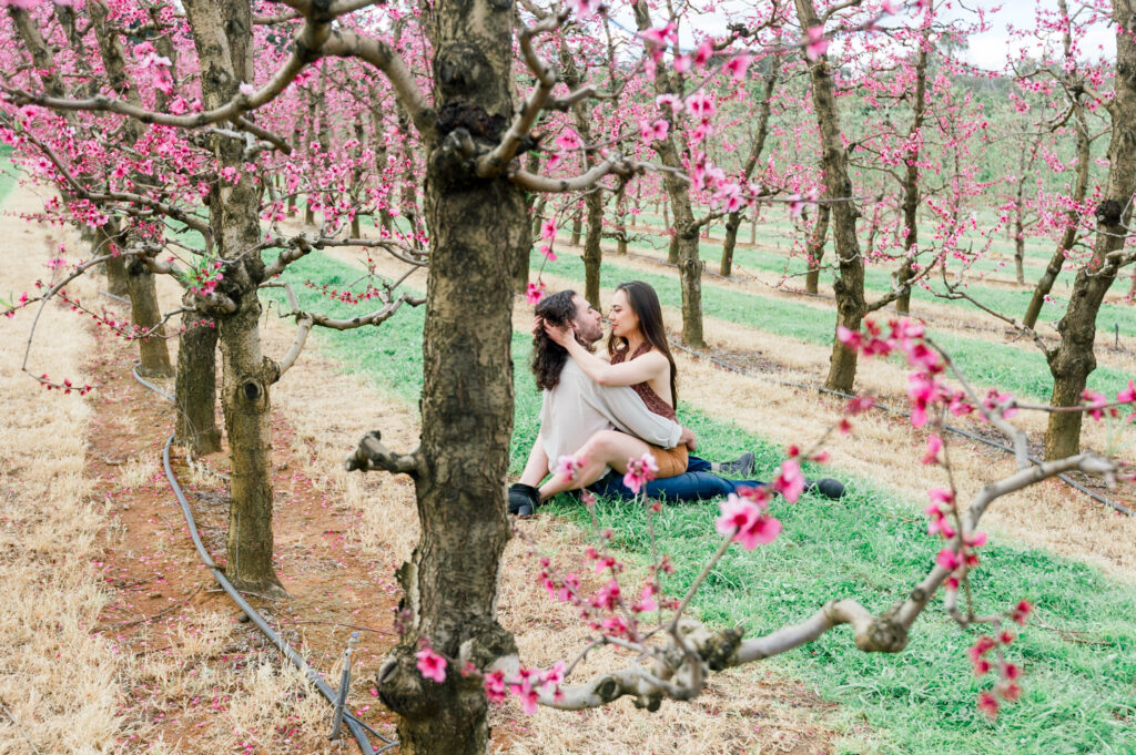 Raeburn Orchards/ Love Your Story Photography 