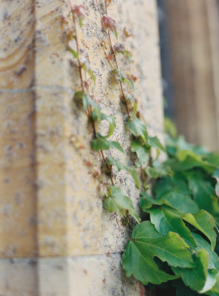 University of Western Australian In Perth - Love Your Story Photography