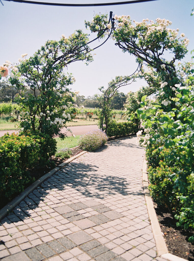 Voyager Estate In Margaret River - Love Your Story Photography